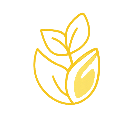 life transitions & stress